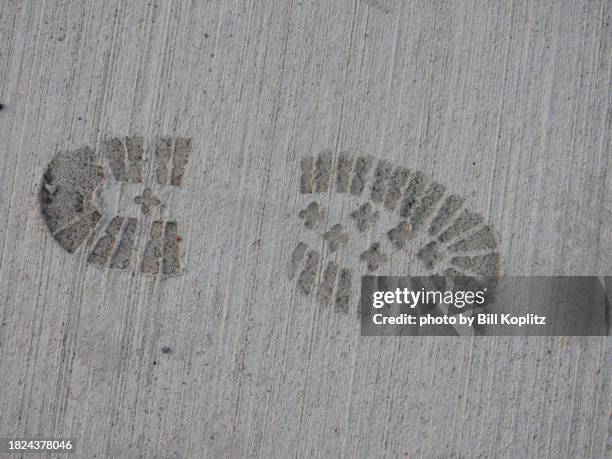 footprint in wet concrete - voetstappen stockfoto's en -beelden
