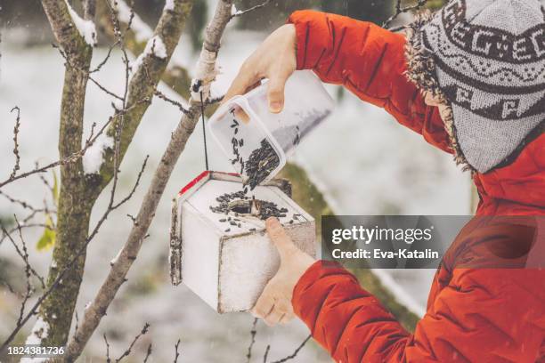 bird feeder - filling stock pictures, royalty-free photos & images
