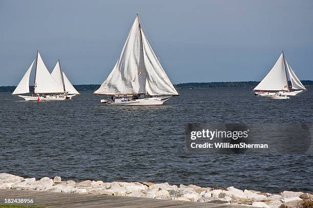 chesapeake bay skipjack race - skipjack sailboat stock pictures, royalty-free photos & images
