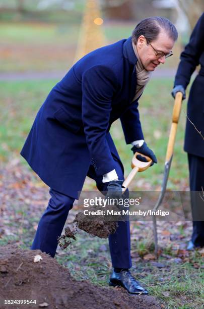 Prince Daniel of Sweden plants a Chinese Ironwood tree as he visits the Royal Botanic Gardens, Kew to learn about international research projects...