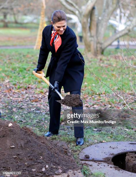 Crown Princess Victoria of Sweden plants a Chinese Ironwood tree as she visits the Royal Botanic Gardens, Kew to learn about international research...