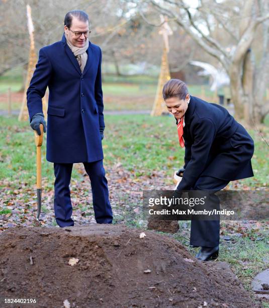 Prince Daniel of Sweden and Crown Princess Victoria of Sweden plant a Chinese Ironwood tree as they visit the Royal Botanic Gardens, Kew to learn...