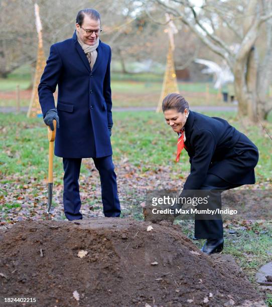 Prince Daniel of Sweden and Crown Princess Victoria of Sweden plant a Chinese Ironwood tree as they visit the Royal Botanic Gardens, Kew to learn...