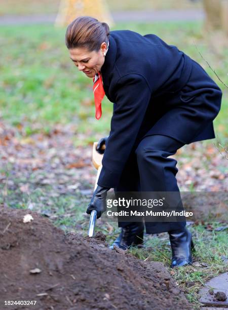 Crown Princess Victoria of Sweden plants a Chinese Ironwood tree as she visits the Royal Botanic Gardens, Kew to learn about international research...