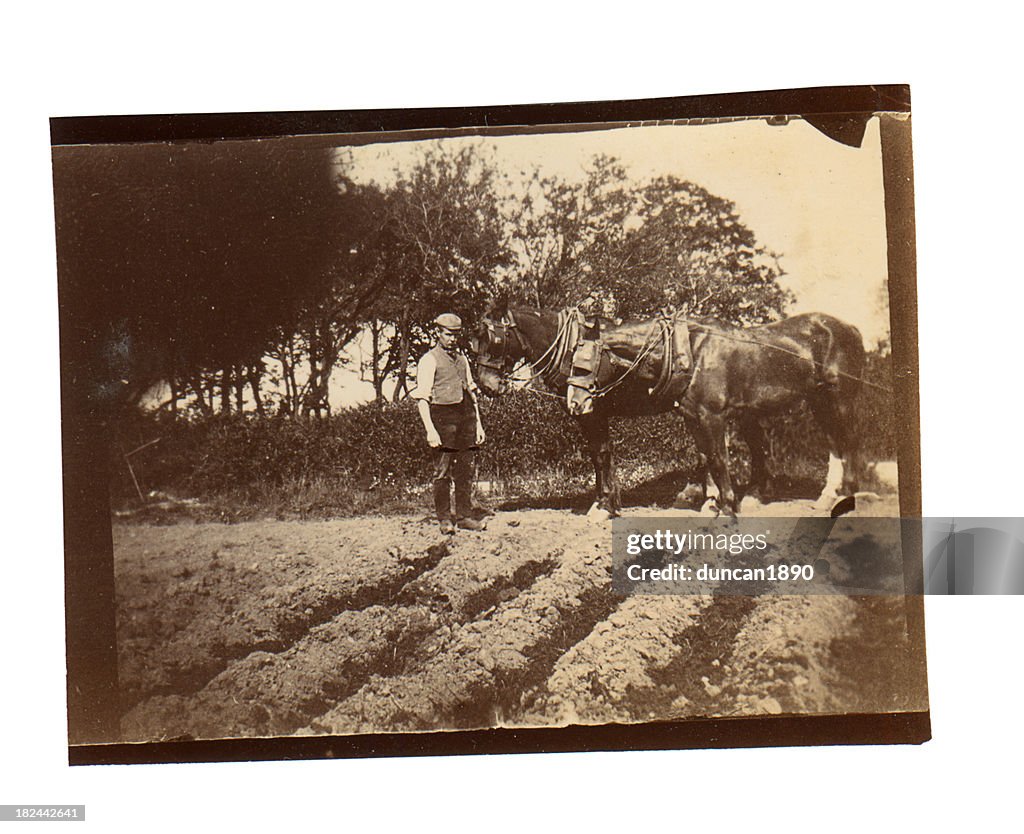 Victorian Ploughman - Old Photograph