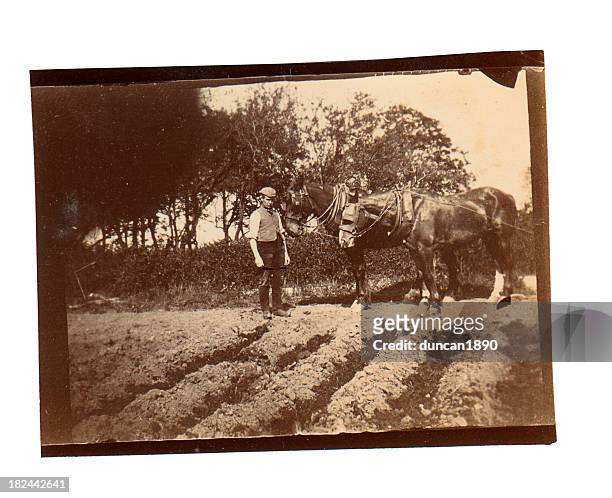 victorian ploughman - old photograph - image date stock pictures, royalty-free photos & images