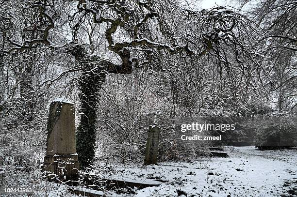 graves on a snowy cemetery - hdr - grafsteen stockfoto's en -beelden