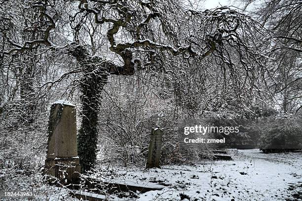 graves on a snowy cemetery - hdr - tombstone stock pictures, royalty-free photos & images