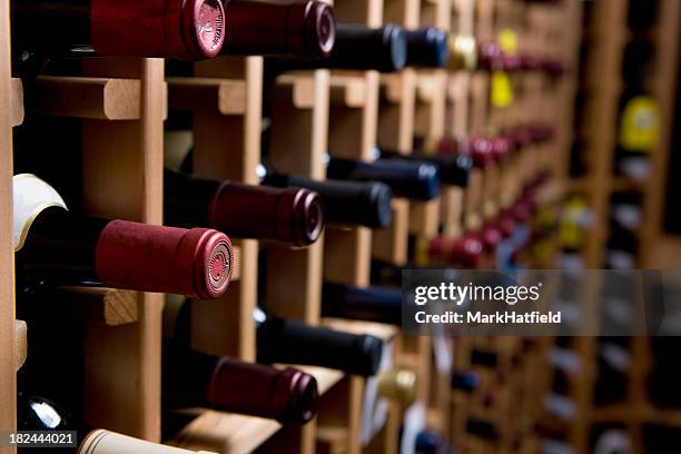 garrafas de vinho na adega - collection - fotografias e filmes do acervo