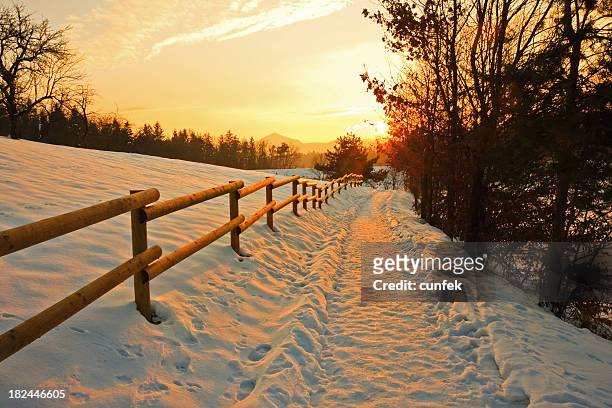 tramonto invernale - single track foto e immagini stock