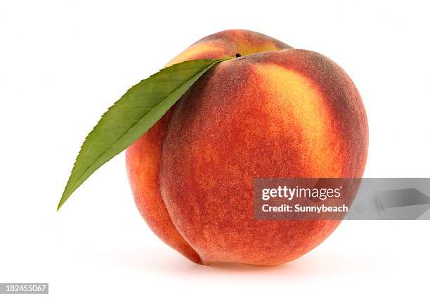 peach - single leaf stock pictures, royalty-free photos & images