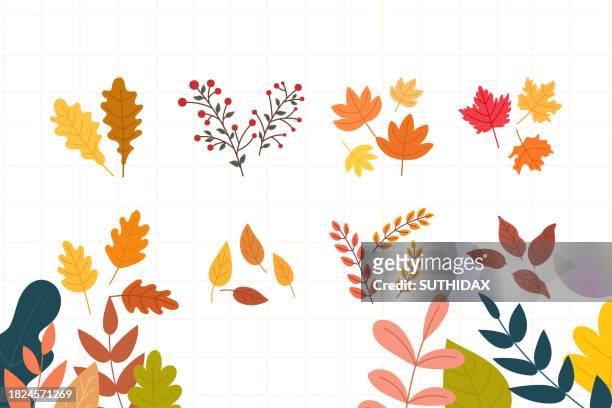 autumn season leaves and plants illustrations - maple leaf logo stock illustrations