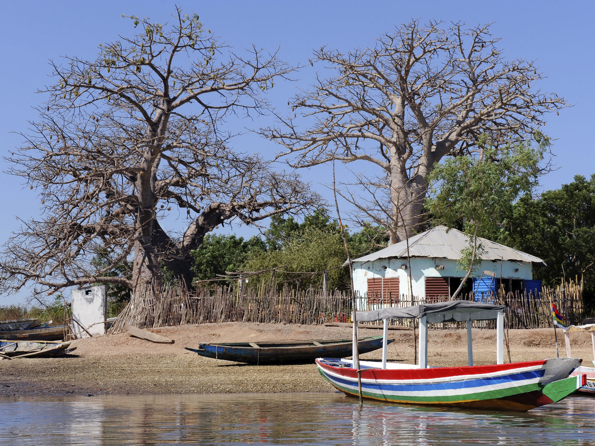 jeshwang gambia