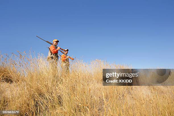 upland game hunting - pheasant hunting stock pictures, royalty-free photos & images