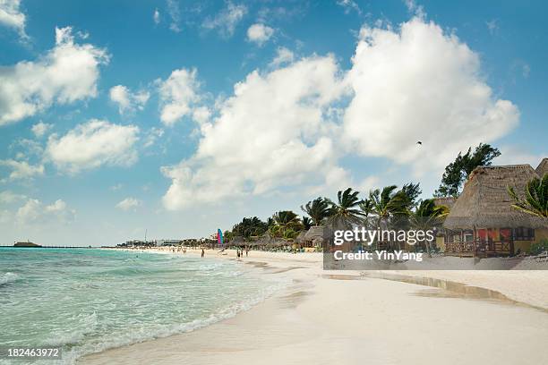 plage de playa del carmen, hôtels de la riviera maya de cancún, mexique - playa del carmen photos et images de collection