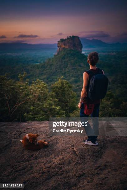 breathtaking view off the lion rock - sigiriya stockfoto's en -beelden