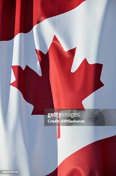 bandeira do canadá - bandeira do canadá imagens e fotografias de stock