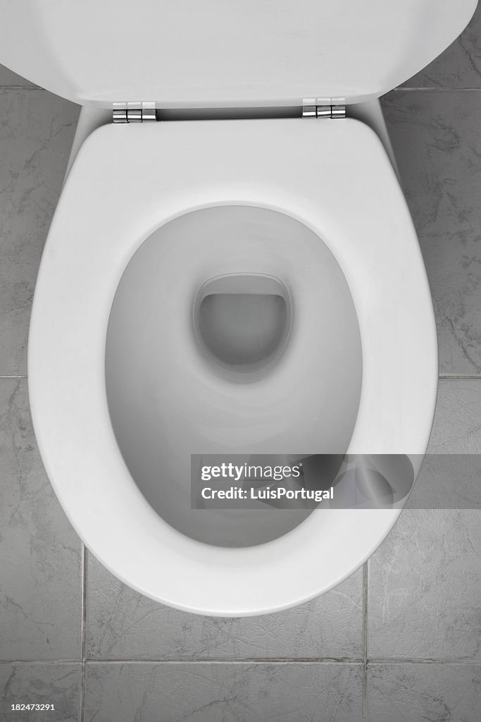 Toilet Bowl