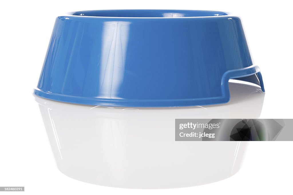 Bright blue dog bowl with reflection