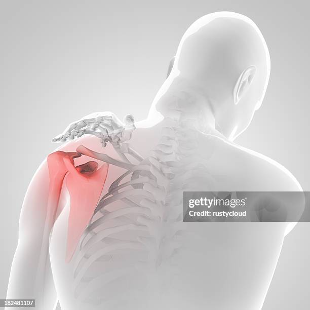 graphic anatomical illustration of male with pained shoulder - människoled bildbanksfoton och bilder