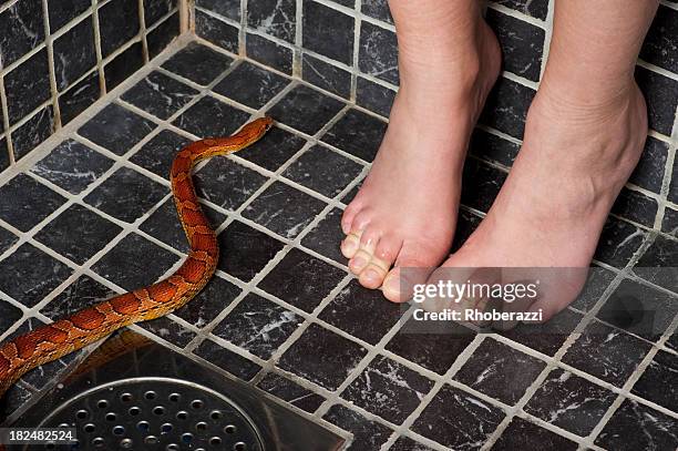 cobra fobia - phobia imagens e fotografias de stock