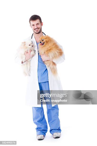 tierarzt mit einem gesunden kleinspitz hund - veterinary objects stock-fotos und bilder