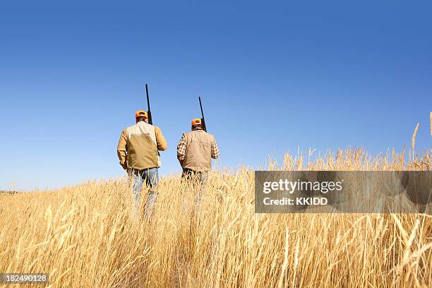 heading home - pheasant hunting stock pictures, royalty-free photos & images