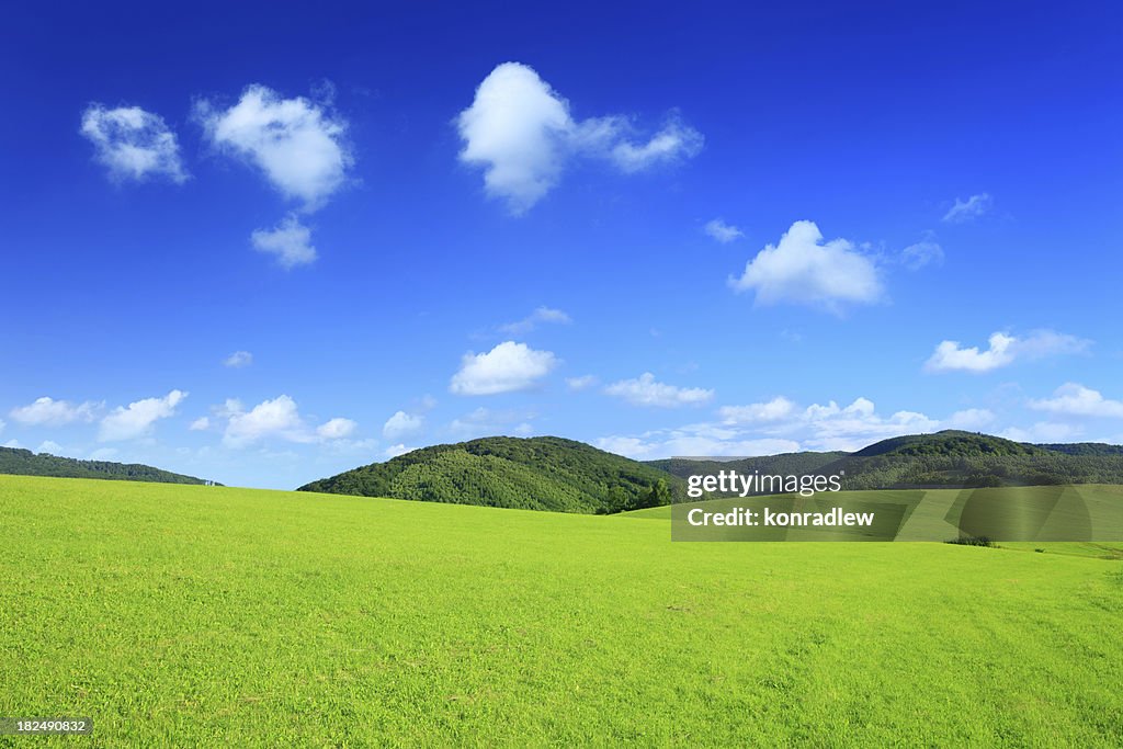 Mountain landscape - green field XXXL