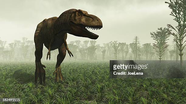tyrannosaurus rex - tyrannosaurus rex photos et images de collection