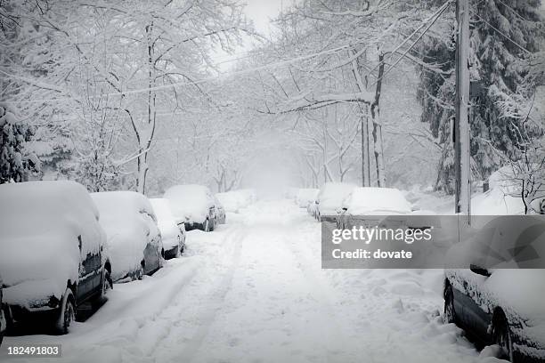 schneesturm - snowy road stock-fotos und bilder