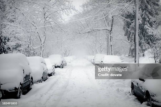 blizzard - philadelphia pennsylvania stock pictures, royalty-free photos & images