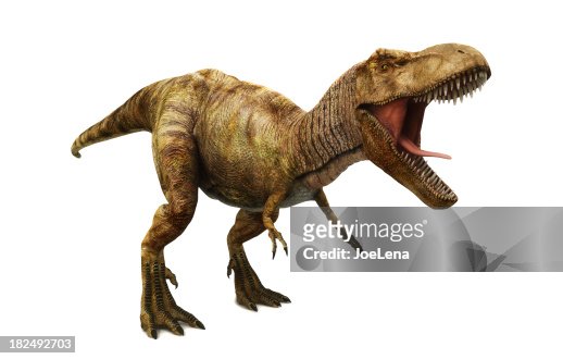  fotos e imágenes de Dinosaurio - Getty Images