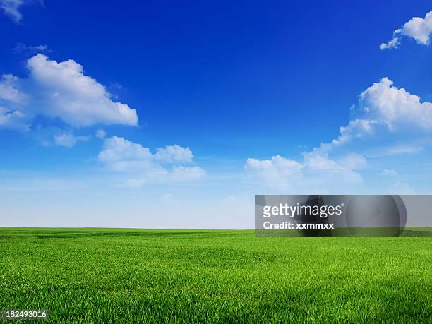 ciel et l'herbe d'ambiance - clear sky photos et images de collection