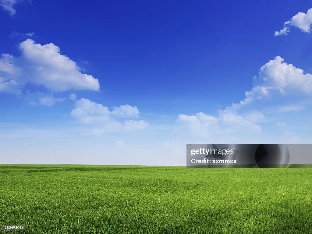 Sky and grass backround