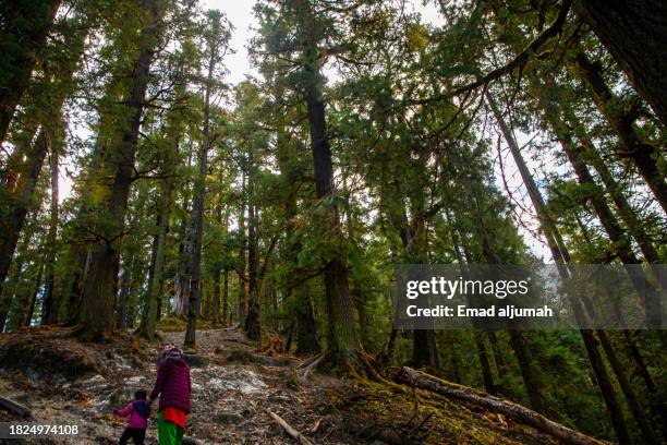 Background Rara 772 Rara Lake Stock Photos, High-Res Pictures, and Images - Getty Images