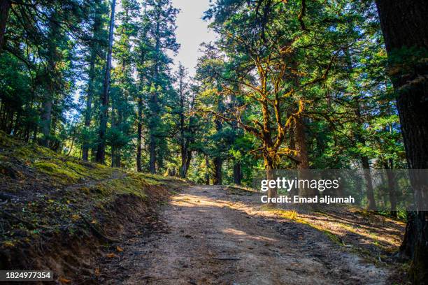 Rara Rope Rara National Park Stock-Fotos und Bilder - Getty Images