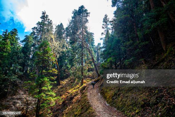 Mani Rara 107 Rara National Park Stock Photos, High-Res Pictures, and Images ...
