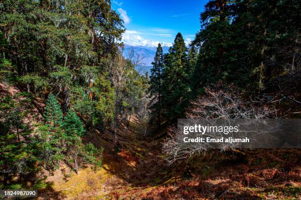Background Rara 772 Rara Lake Stock Photos, High-Res Pictures, and Images - Getty Images