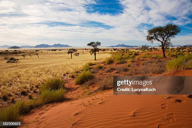 namibrand duenen - steppe stock pictures, royalty-free photos & images