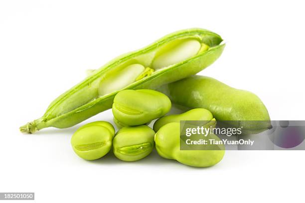 broad bean - fava bean stock pictures, royalty-free photos & images