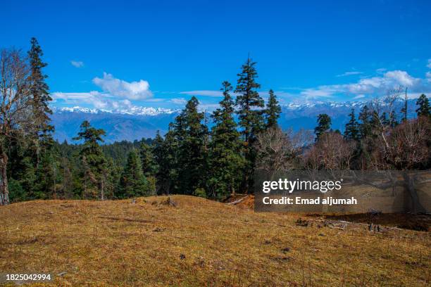 Background Rara Rara Lake Photos and Premium High Res Pictures - Getty Images