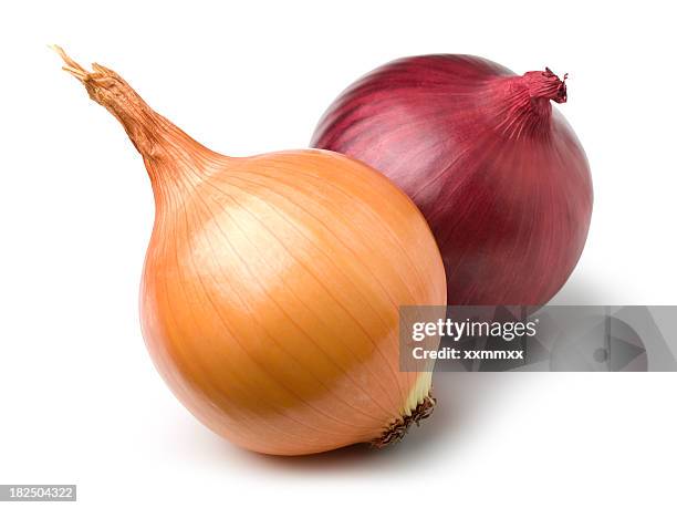 red and gold onion - red onion stockfoto's en -beelden