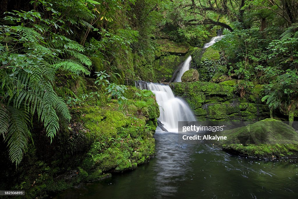 Waterfall in the rainforest, New Zealand