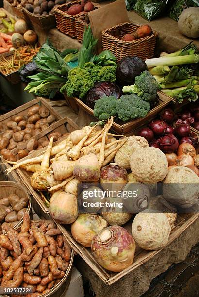 verdure a radice - winter vegetables foto e immagini stock