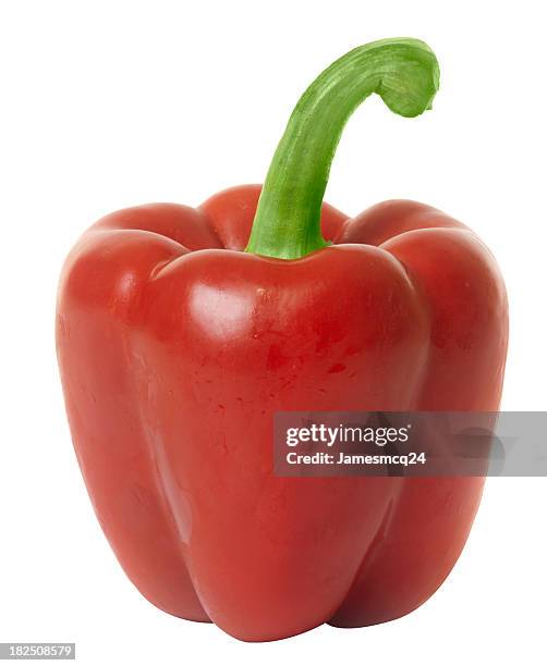 pimentão vermelho - green bell pepper imagens e fotografias de stock