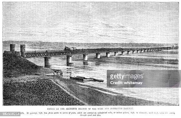 bridge on allyghur branch, oude & rohilcund railway (1878 illustration) - estuary stock illustrations