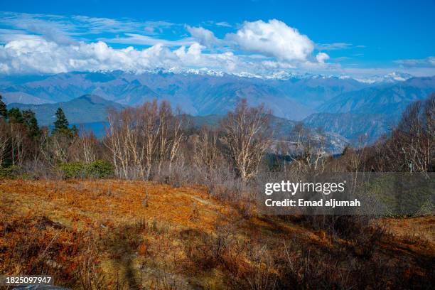 Background Rara 772 Rara Lake Stock Photos, High-Res Pictures, and Images - Getty Images