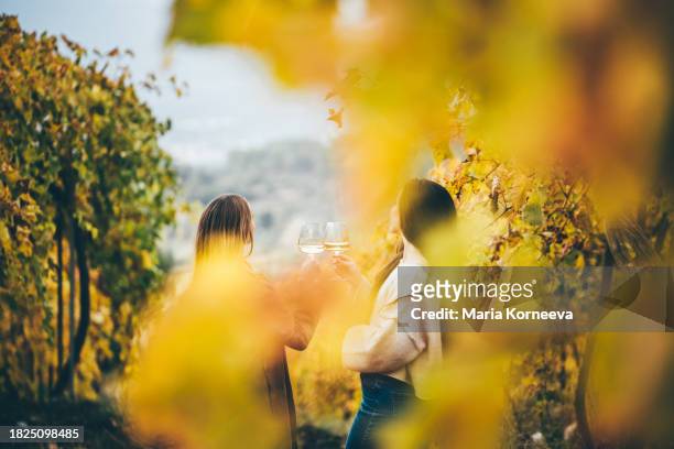 women taste wine in the autumn winery. - beaujolais nouveau - fotografias e filmes do acervo