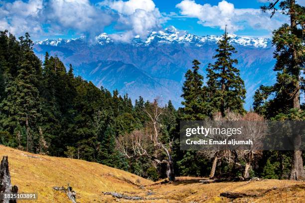 Background Rara 772 Rara Lake Stock Photos, High-Res Pictures, and Images - Getty Images