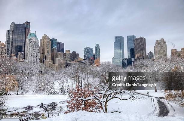 winter in new york city - new york city snow stock pictures, royalty-free photos & images
